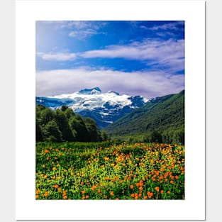 Flowers Bed on Mountains-Spring Posters and Art